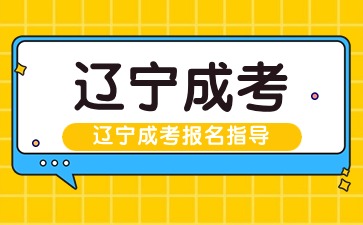 辽宁成考学历可以考公务员吗？