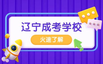 2024年辽宁函授本科有哪些报考院校