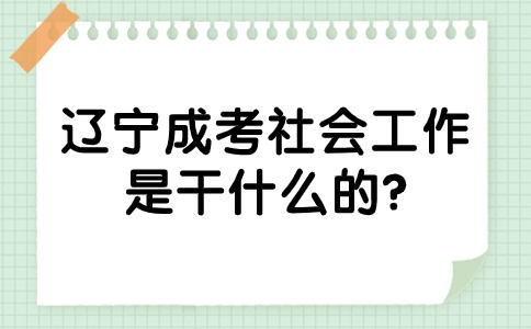 辽宁成考本科社会工作专业是干什么的