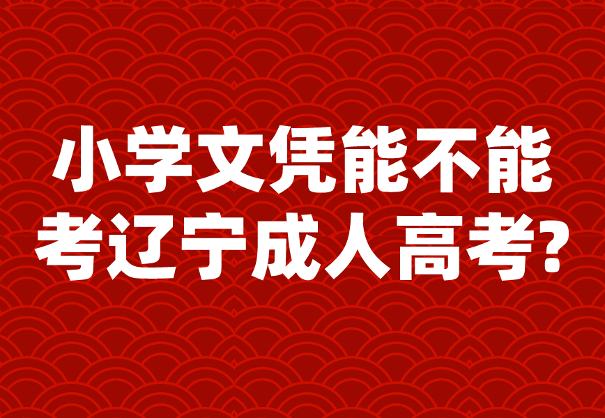 小学文凭能不能考辽宁成人高考