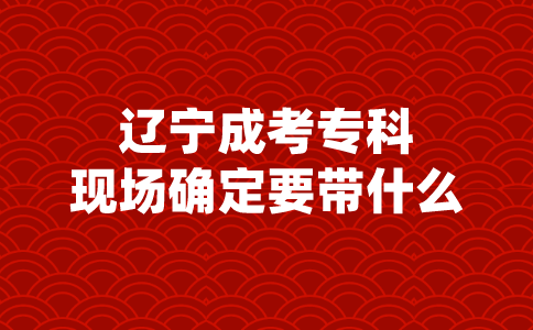 辽宁成考专科现场确定要带什么