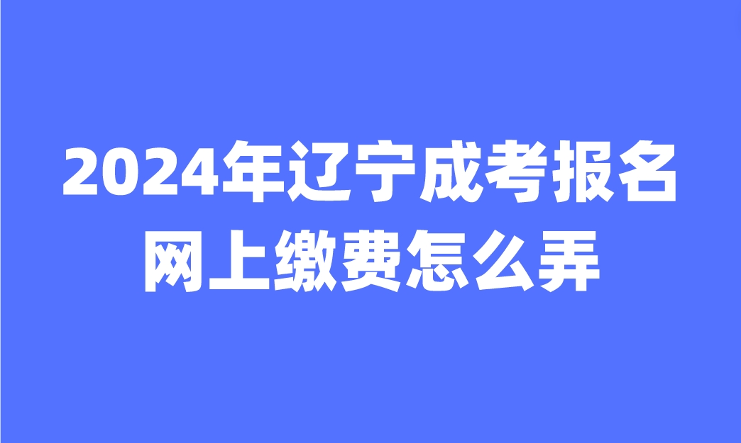 辽宁成考报名网上缴费怎么弄