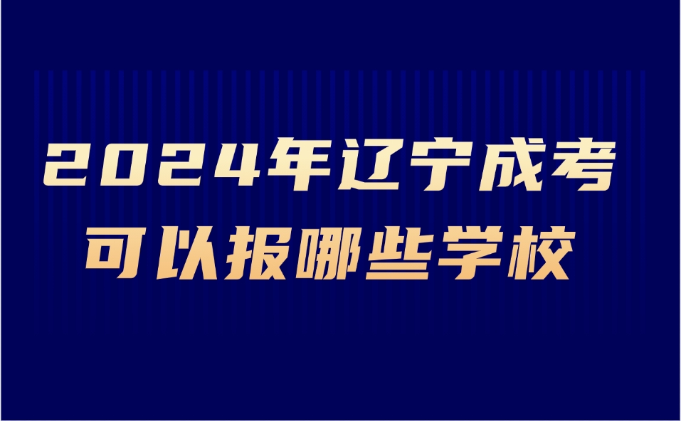 辽宁成考可以报哪些学校